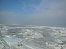 Butjadingen und mehr